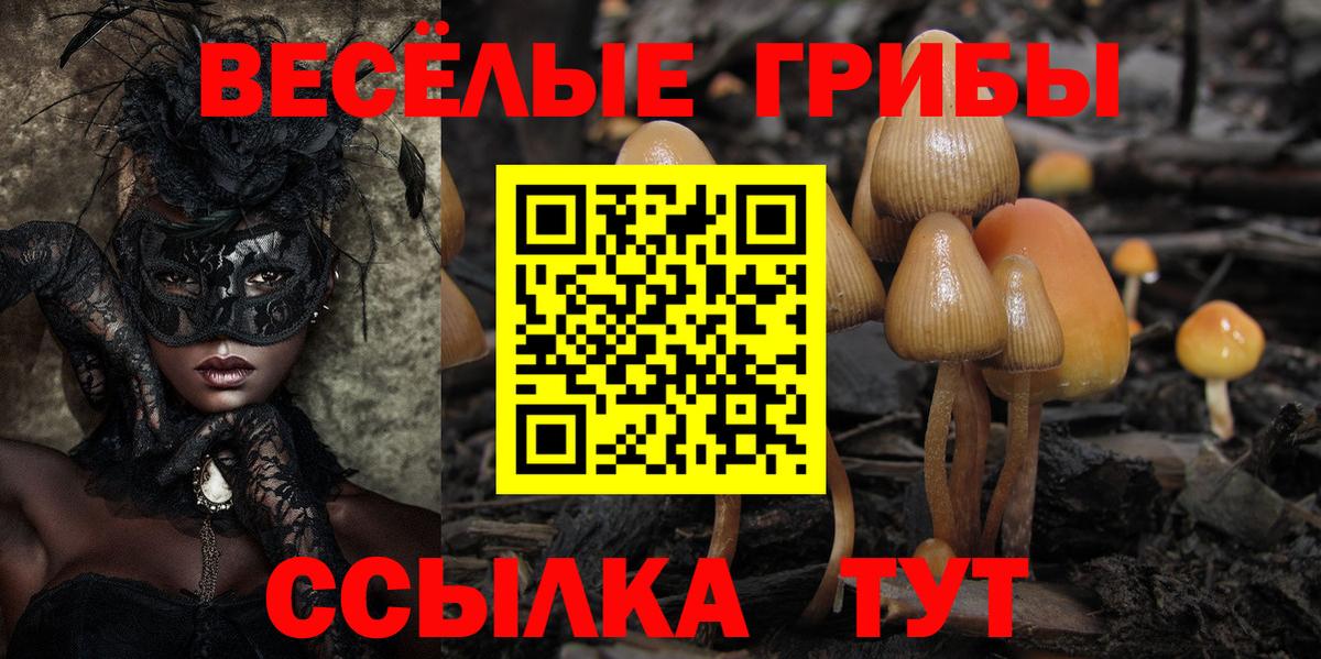 Псилоцибиновые грибы GOLDEN TEACHER Хасавюрт